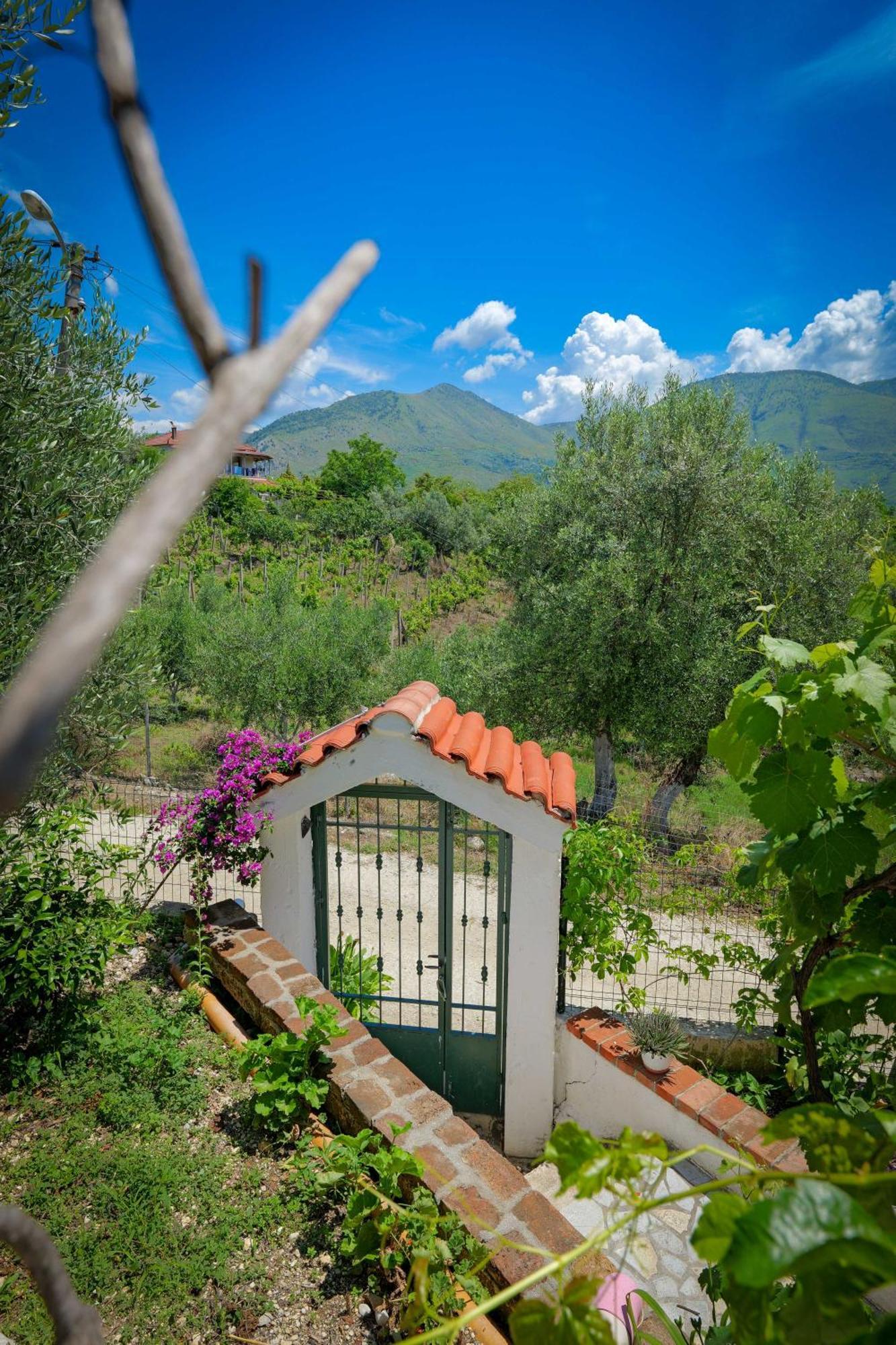 Shena The Farm Boutique Ξενοδοχείο Mesopotam Εξωτερικό φωτογραφία