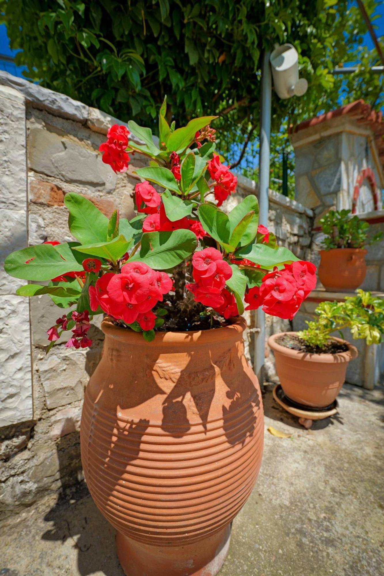 Shena The Farm Boutique Ξενοδοχείο Mesopotam Εξωτερικό φωτογραφία